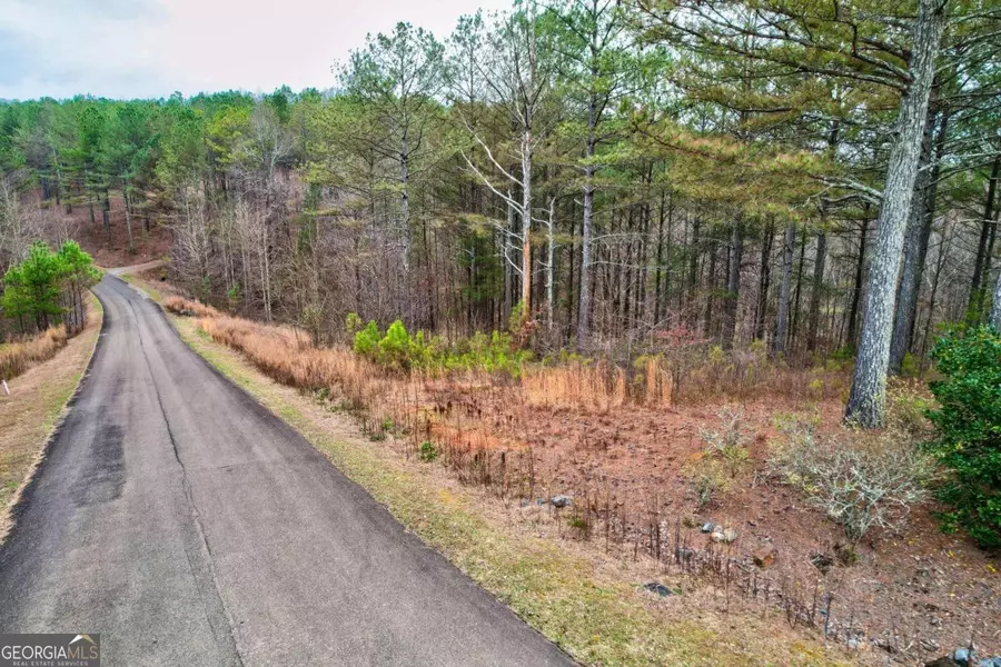 LOT 2 Eastside, Ellijay, GA 30540