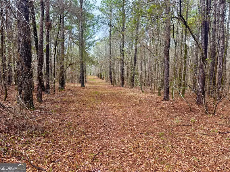 0 John Allen Carter (COUNTY LINE RD) #34 ACRES, Butler, GA 31006