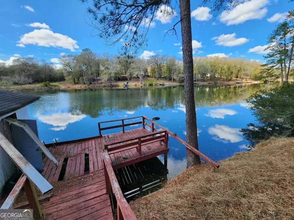 Hawkinsville, GA 31036,52 Spring Lake