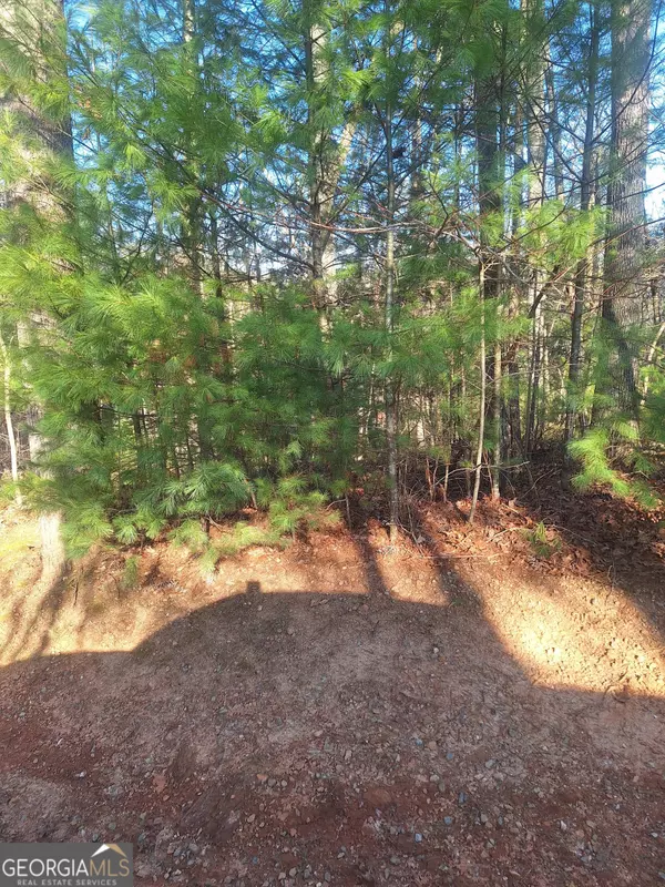 Mineral Bluff, GA 30559,0 Toccoa River