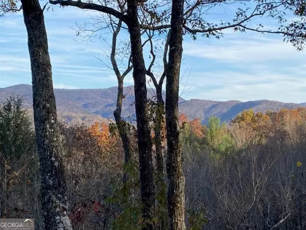 Blue Ridge, GA 30513,12 Little Bushy Head