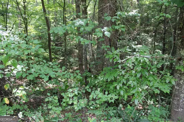 Mineral Bluff, GA 30559,10 ACRE Old Salem