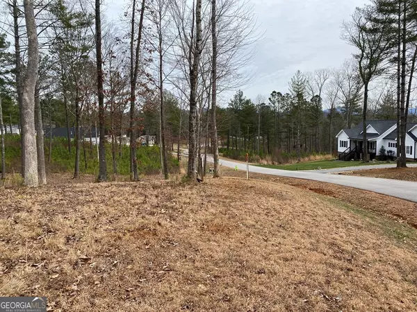 Blairsville, GA 30512,LOT 10 High Point