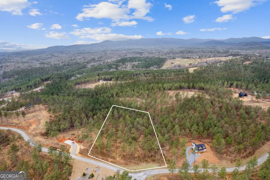 LOT 91 High River Landing, Ellijay, GA 30540