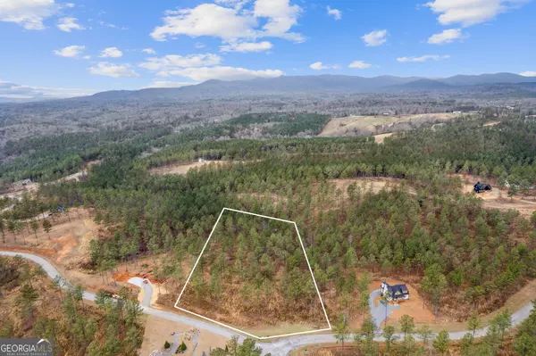 LOT 91 High River Landing, Ellijay, GA 30540