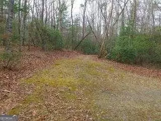 Ellijay, GA 30536,LOT 28 Chimney