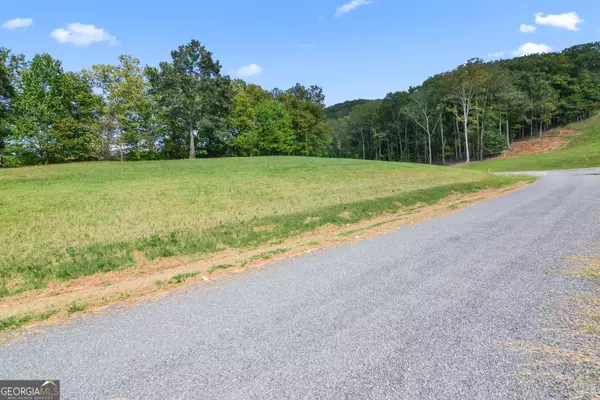 Morganton, GA 30560,LOT 68 Hillside