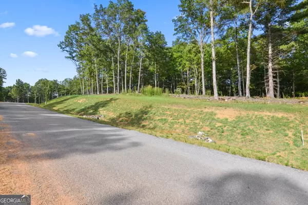 Morganton, GA 30560,LOT 13 Ridges