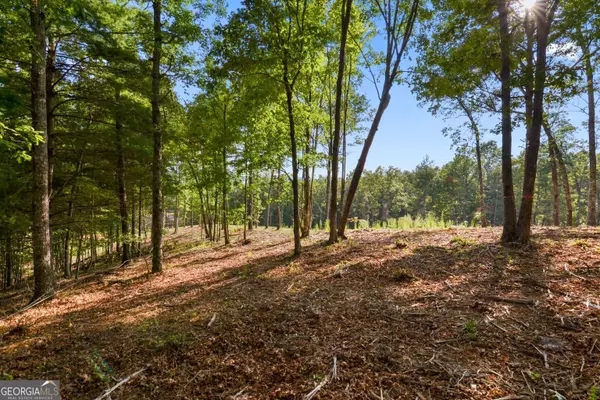 Morganton, GA 30560,LOT 13 Ridges