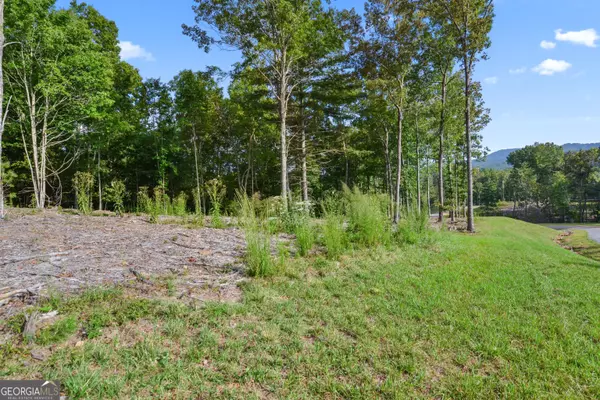 Morganton, GA 30560,LOT 13 Ridges