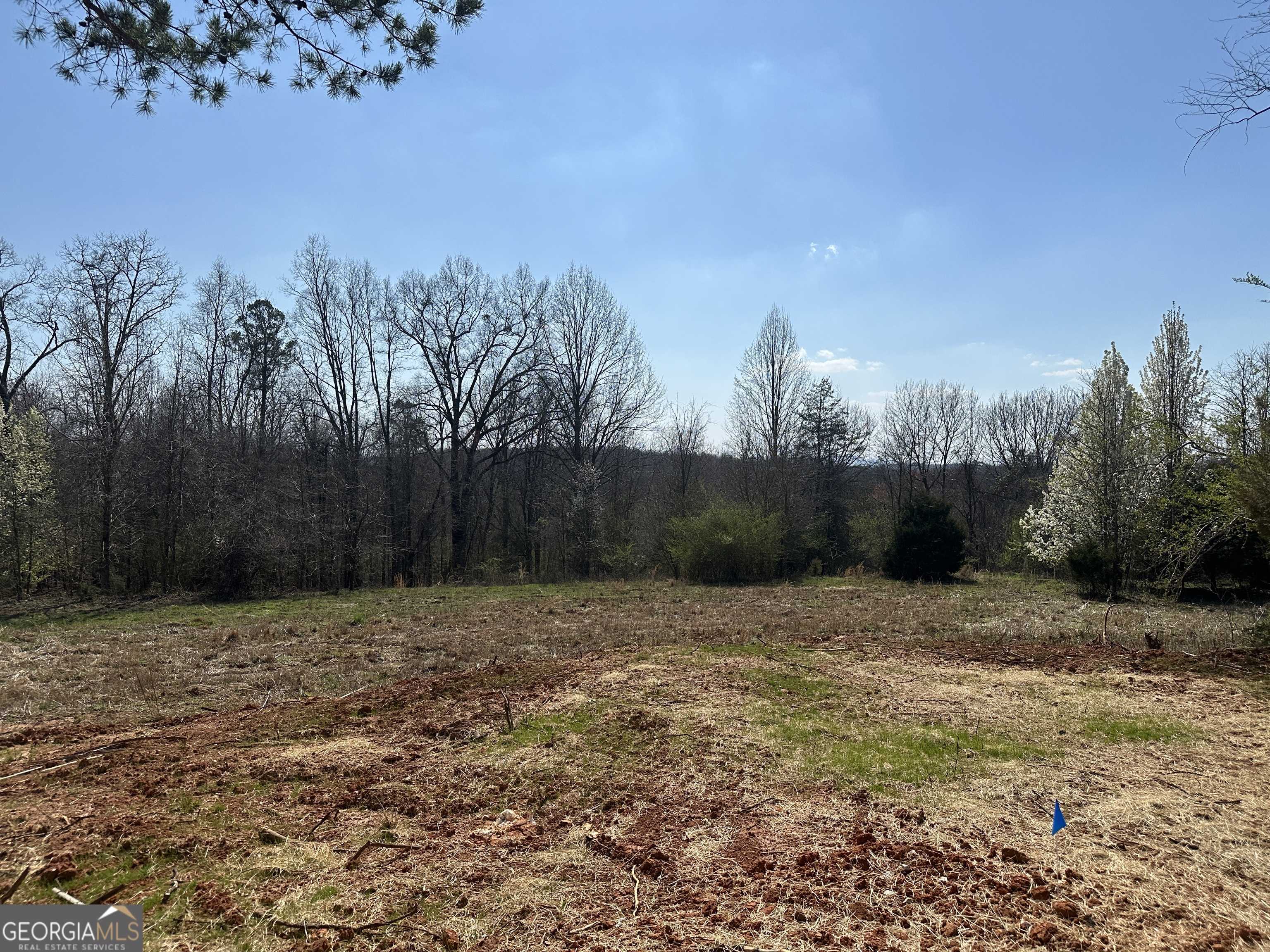 Demorest, GA 30535,0 Mineral Springs Conn. #1D