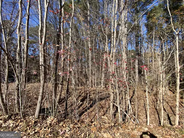 Woodstock, GA 30189,0 Black Oak TRL