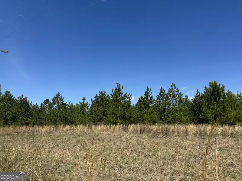 0 Jack Anderson RD, Collins, GA 30421