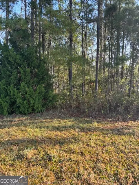 Kingsland, GA 31548,V/L 61 Laurel Marsh S/D