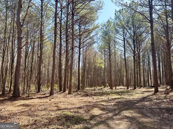 Summerville, GA 30747,1580 Back Berryton RD