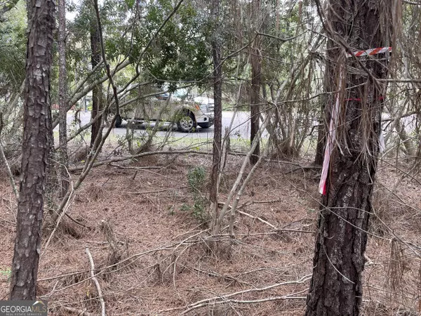 St. Marys, GA 31558,0 Sand Dollar CT