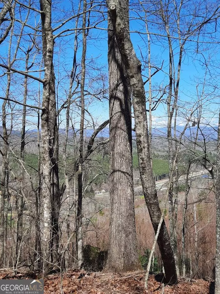 Murphy, NC 28906,LOT 7 Quail Run