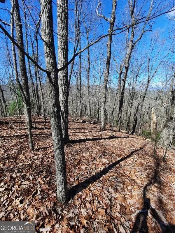 Murphy, NC 28906,LOT 7 Quail Run