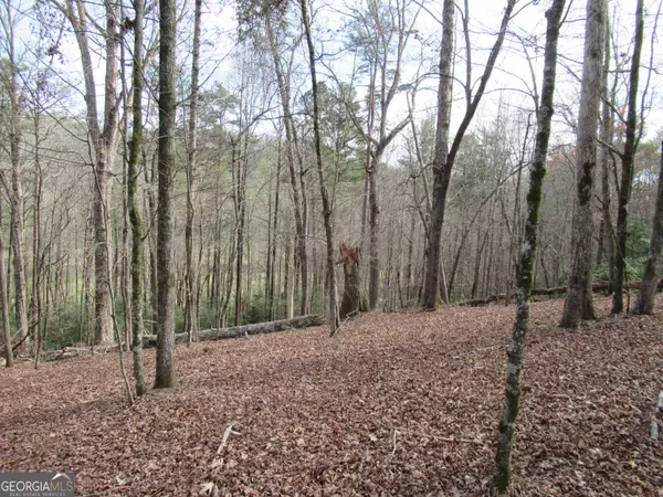 Dahlonega, GA 30533,0 Long Branch RD