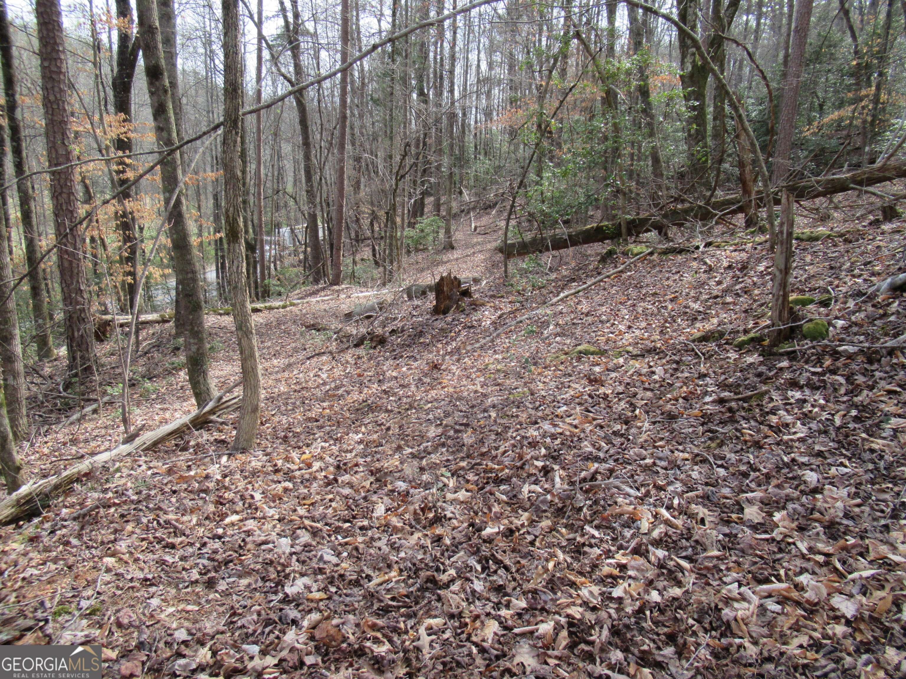 Dahlonega, GA 30533,0 Long Branch RD