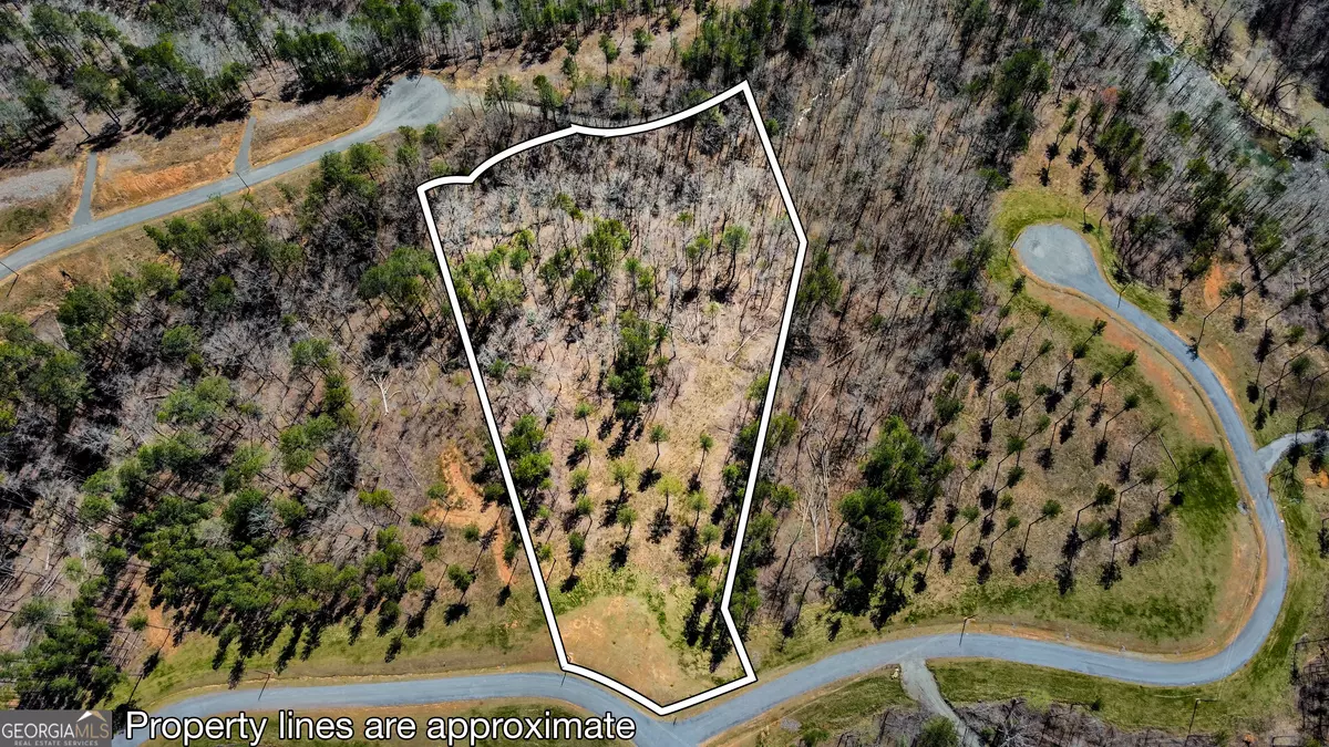 Ellijay, GA 30540,LOT 196 Blalock Mountain Rd