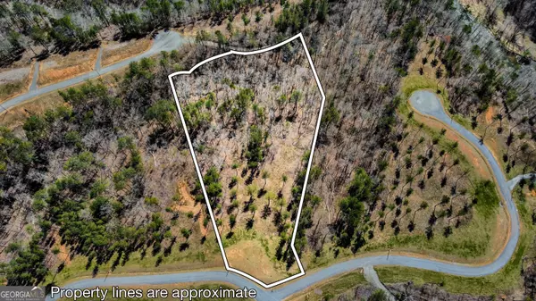 LOT 196 Blalock Mountain Rd, Ellijay, GA 30540