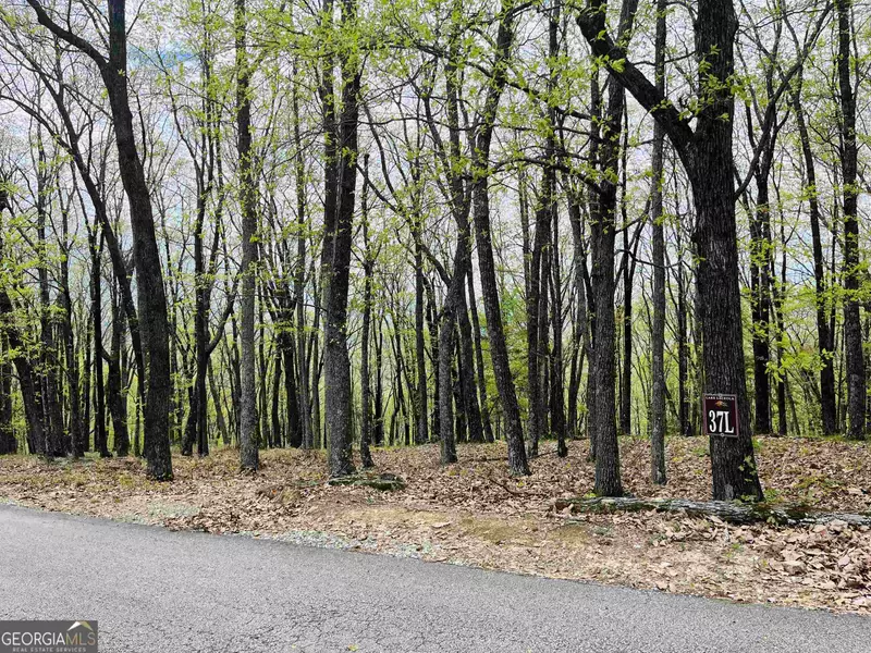 0 Mountainside Drive - Lot 37, Cleveland, GA 30528