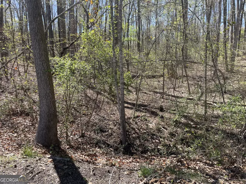 0 Rue Cezzan, Lavonia, GA 30553