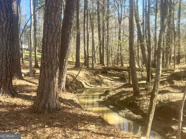 Sparta, GA 31087,35 Scenic WAY