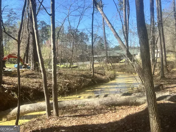 Sparta, GA 31087,35 Scenic WAY