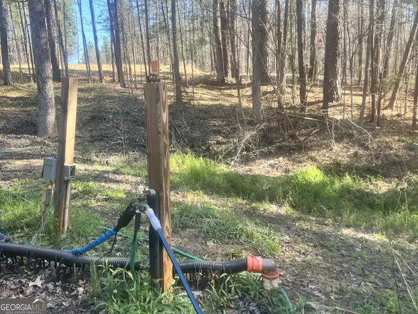 Sparta, GA 31087,35 Scenic WAY