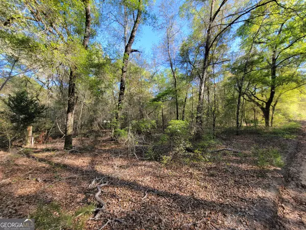 535 Bass RD, Reidsville, GA 30453