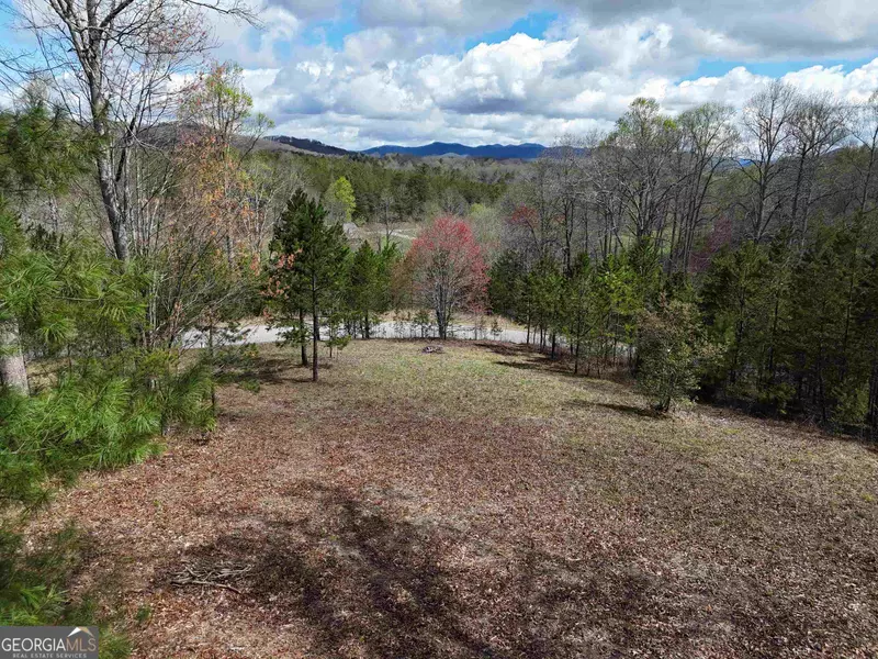 LOT 29 Coras, Blairsville, GA 30512