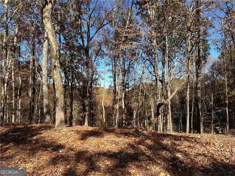 Ranger, GA 30734,108 Adair DR