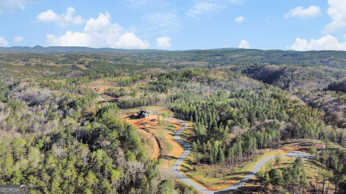 Talking Rock, GA 30175,LOT 146 Eddy Waters CIR