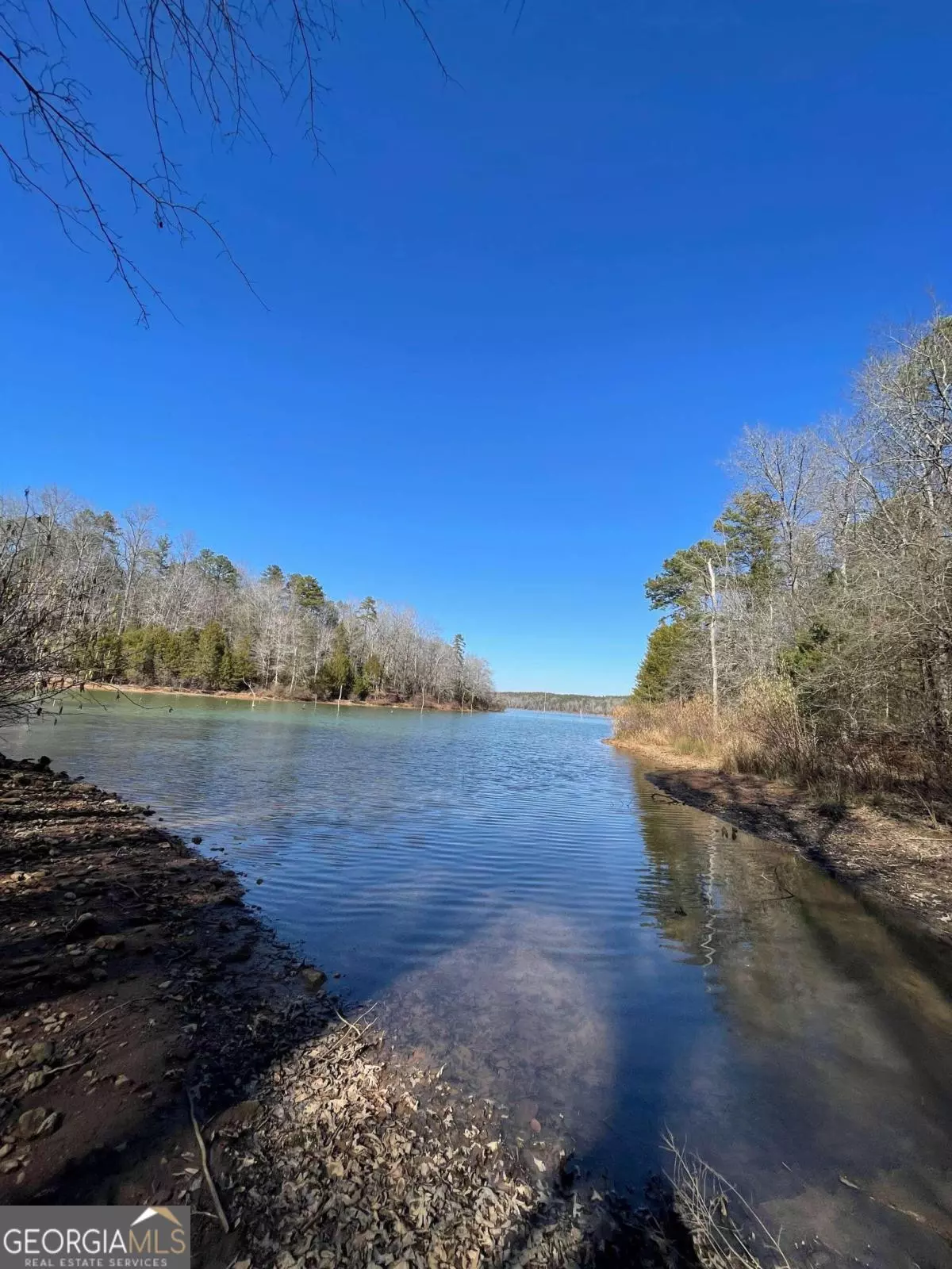 Elberton, GA 30635,1276 Hornets Bridge