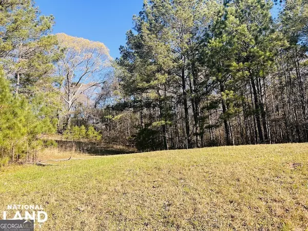 Newnan, GA 30263,0 Wagers Mill RD
