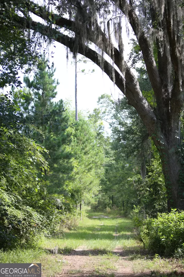 0 Hwy 200, Damascus, GA 39841