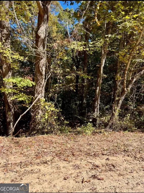 Waco, GA 30182,0 Chandler RD #TRACT 3A