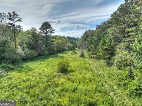 Ellijay, GA 30540,19+ AC Tails Creek