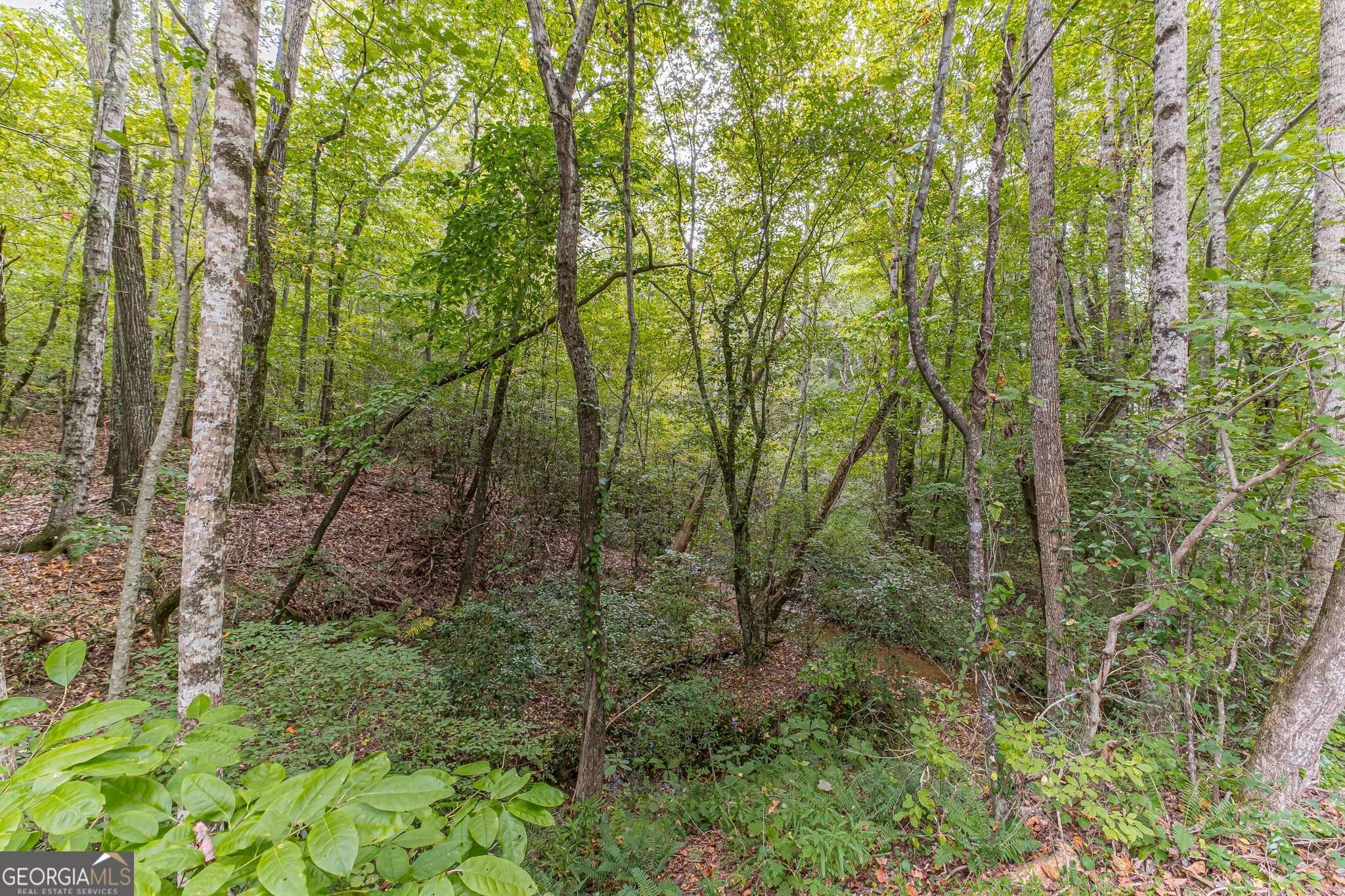 4033 Hidden Hollow DR, Gainesville, GA 30506