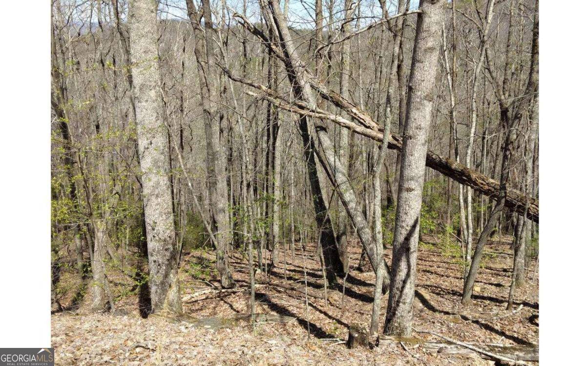 Ellijay, GA 30536,M99 Sleepy Hollow RD #M99