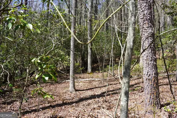 Lakemont, GA 30552,0 Worley Creek RD