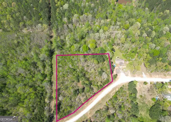 Hogansville, GA 30230,TRACT 33 AND 34 N River CIR