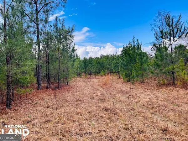 Buena Vista, GA 31803,0 Highway 26 West