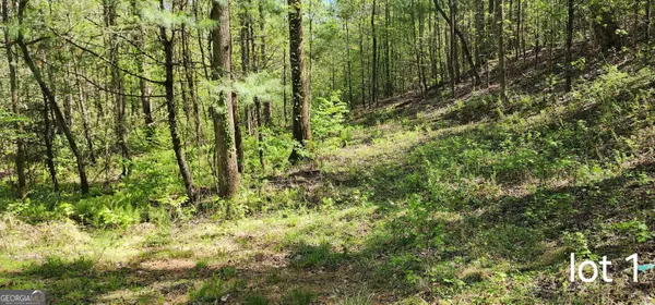 Sautee Nacoochee, GA 30571,LOT 1 Bean Creek