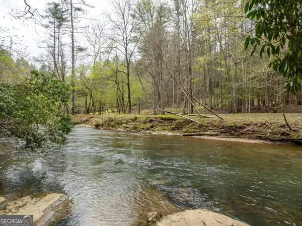 Ellijay, GA 30540,70 Cabin