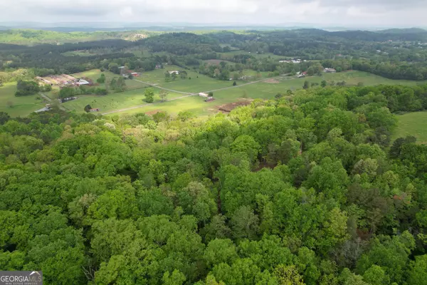 Cohutta, GA 30710,26.22 acres on Dry Valley