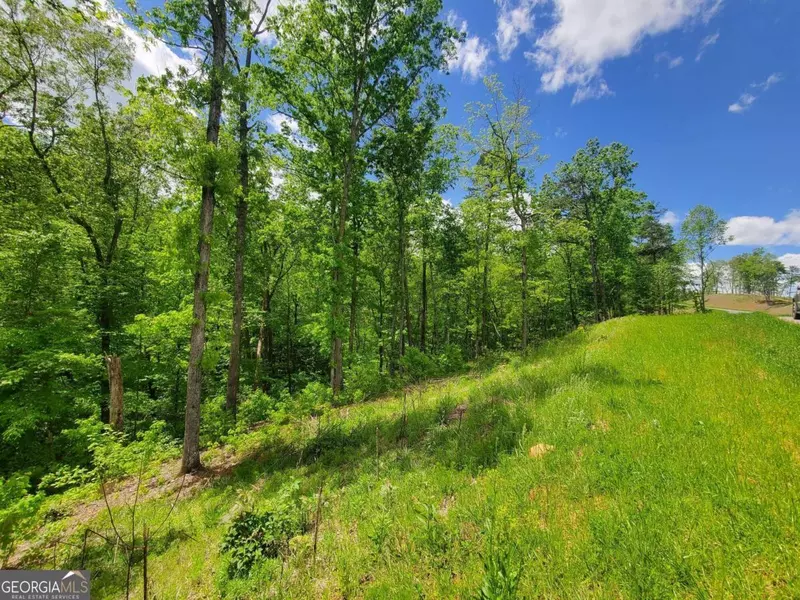 LT 78 Jakes Landing, Ellijay, GA 30540