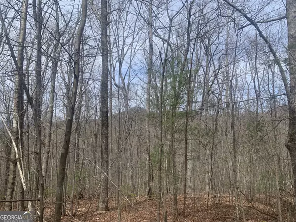 Hiawassee, GA 30546,LOT 12 Enchantment WAY #12